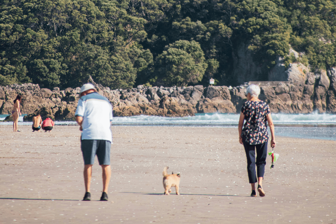 Older adults with hearing aids walking on the beach